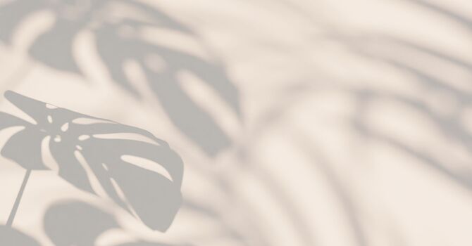 Wellness & Hormone Therapy